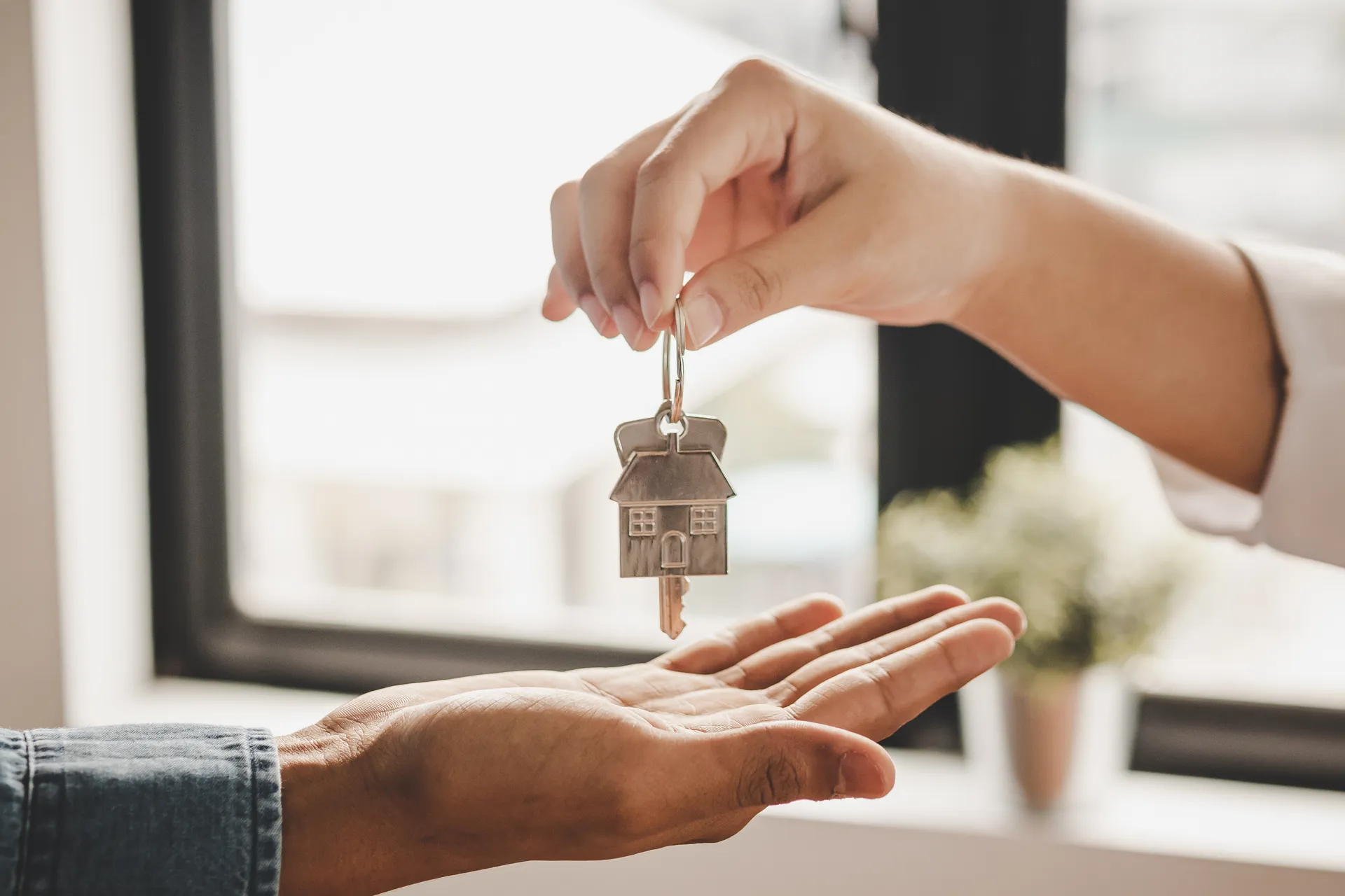 Willkommen bei Ihren Immobilienprofis in der Region
