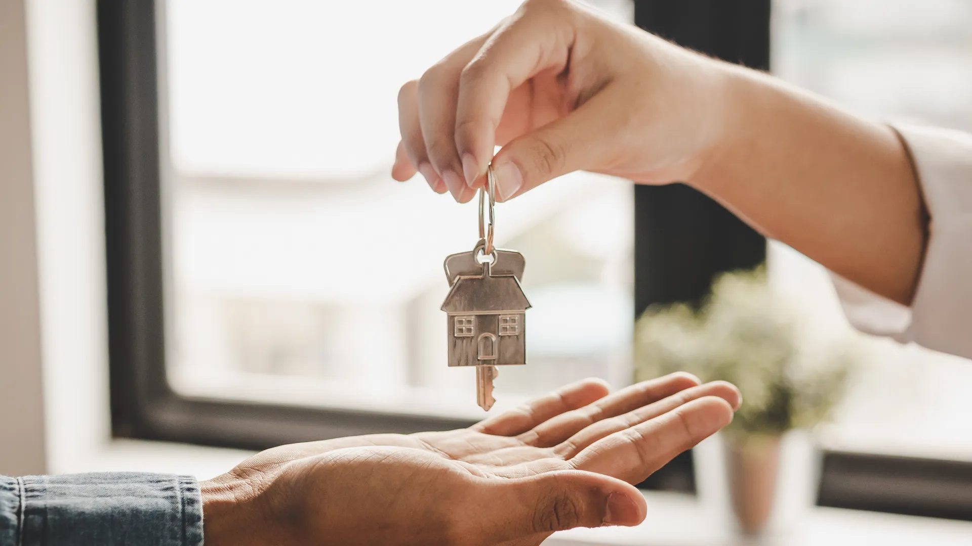 Willkommen bei Ihren Immobilienprofis in der Region